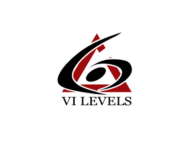 6 Levels logo
